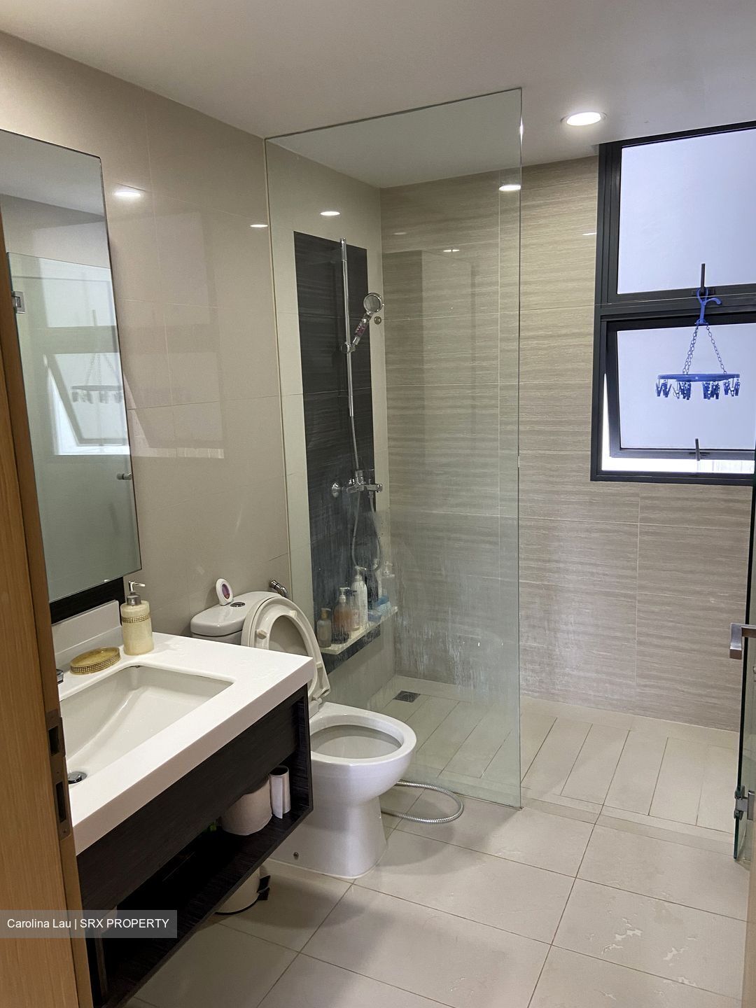 Blossom Residences (D23), Condominium #376090121